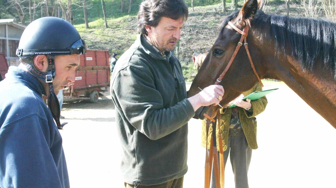 Il proprietario di Brento, cavallo che non aveva ancora vinto ma era chiacchierato Il proprietario di Brento, cavallo che non aveva ancora vinto ma era chiacchierato