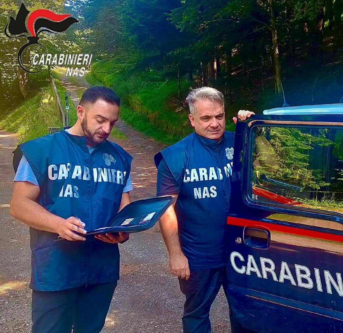 Blitz del Nas in uno bagno. Maxi sanzione Blitz del Nas in uno bagno. Maxi sanzione