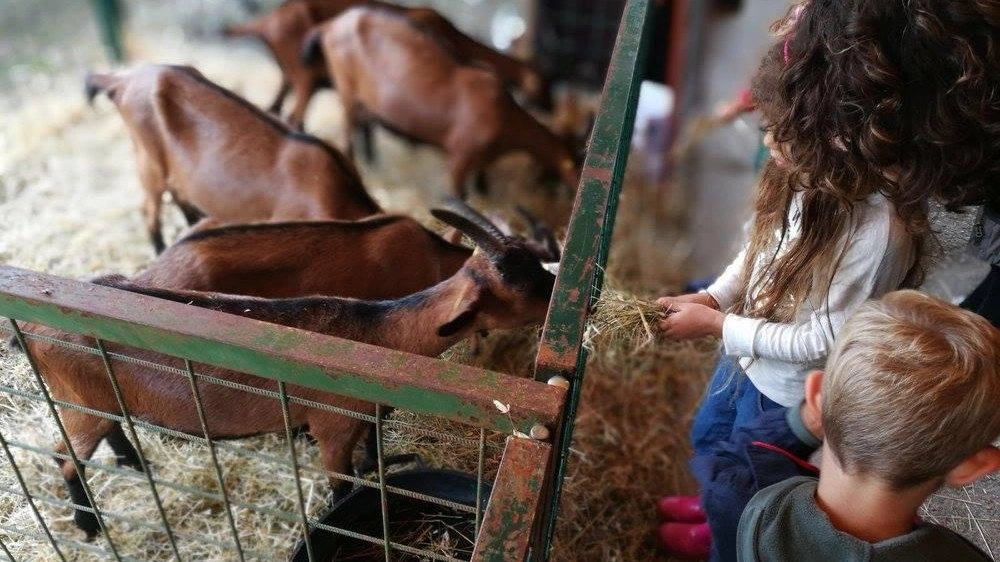 Torna l'Antica Fiera dell'Antella Torna l'Antica Fiera dell'Antella