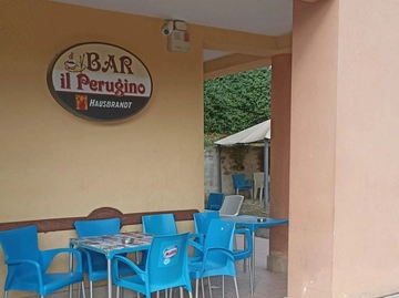 immagine articolo
