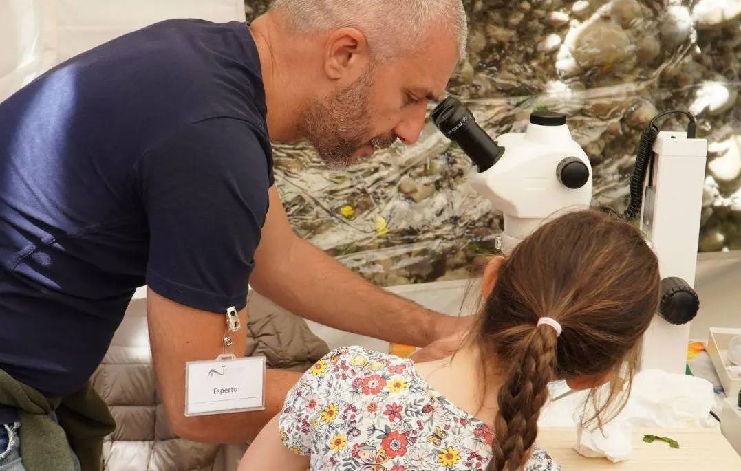 BioBlitz Siena nella valle di Porta Giustizia. La maratona sulla biodiversità urbana
