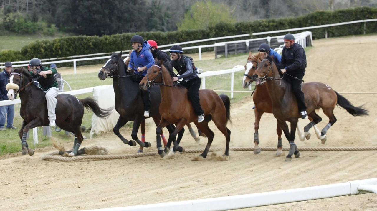 Appuntamento questo pomeriggio a partire dalle 15 a Mociano per la terz’ultima giornata dei lavori di addestramento in vista del Palio di luglio Appuntamento questo pomeriggio a partire dalle 15 a Mociano per la terz’ultima giornata dei lavori di addestramento in vista del Palio di luglio