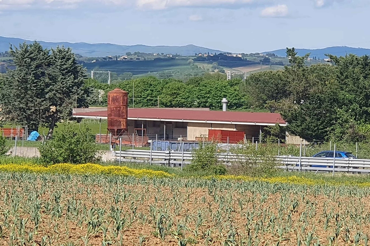 immagine di sfondo 2