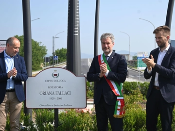 immagine articolo