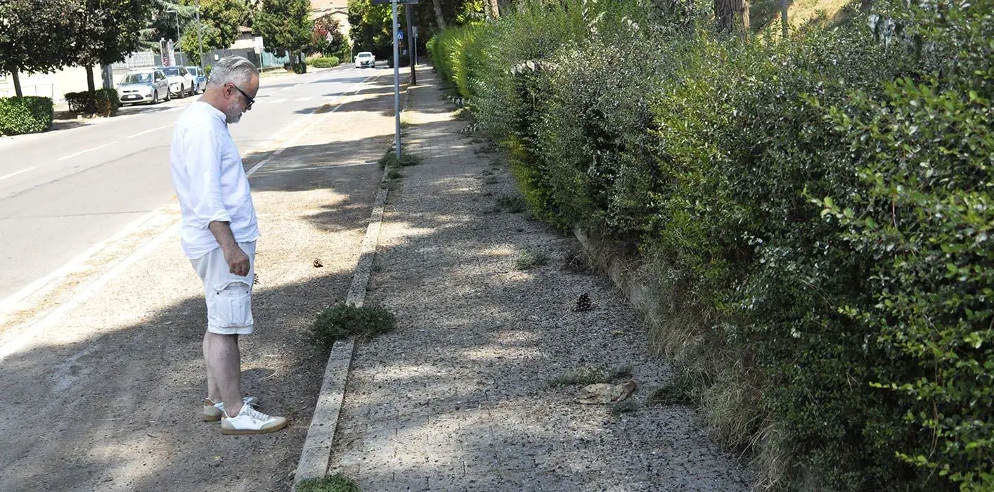 Storni molesti in via Montegrappa: "Subito interventi anti-degrado"