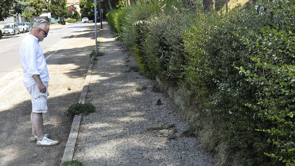 Poggibonsi, i residenti chiedono aiuto all’amministrazione comunale: "Qui guano e sporcizia"