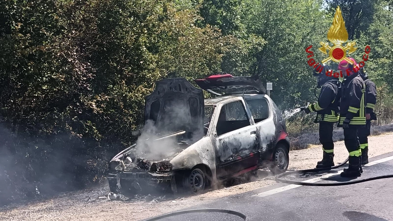 L'intervento dei vigili del fuoco
