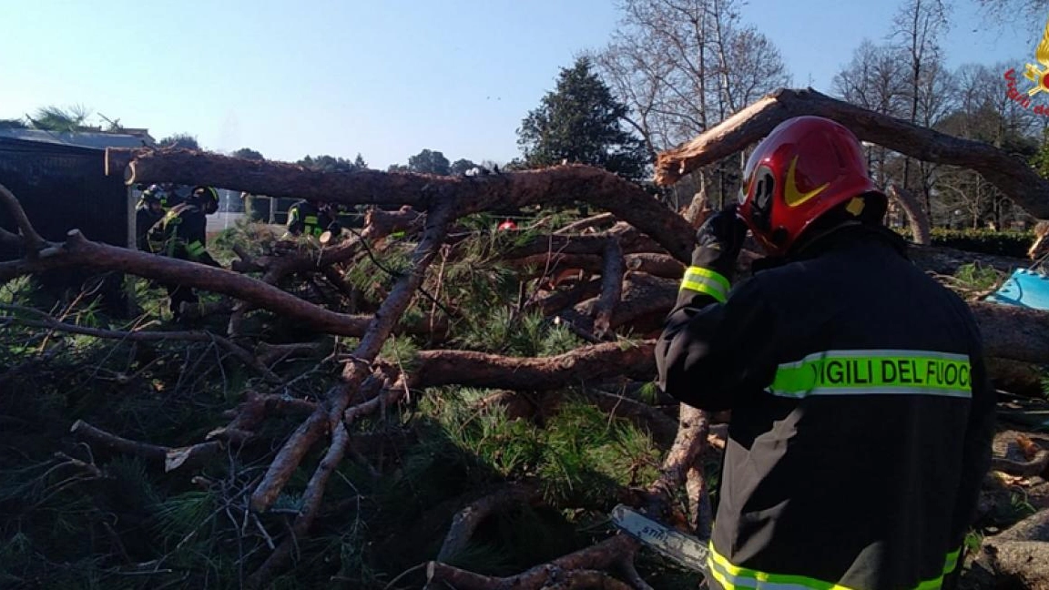 Rami crollati a Firenze, le Cascine nel mirino: “Eventi imprevedibili. Più controlli? Inutili”