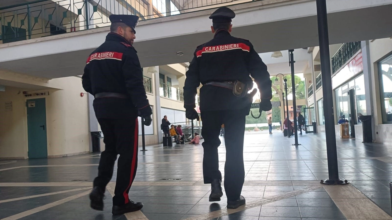I controlli dei carabinieri (Foto di repertorio) I controlli dei carabinieri (Foto di repertorio)