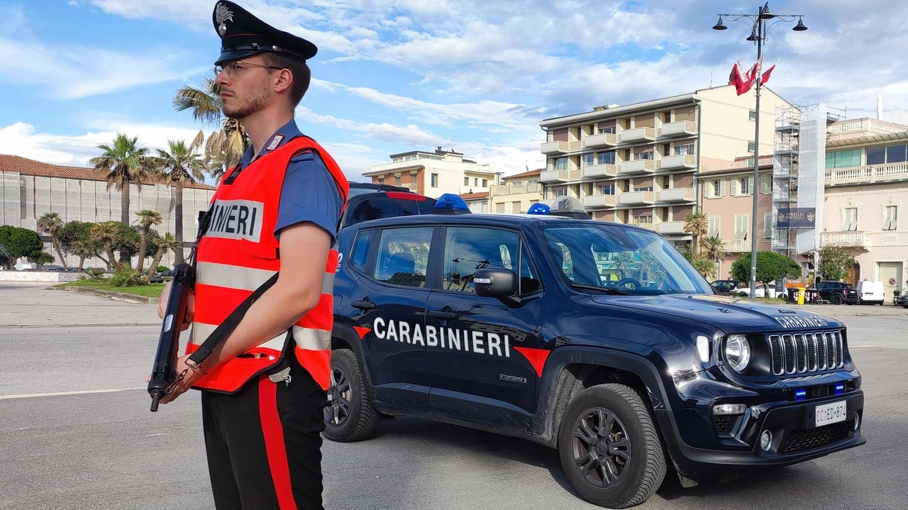 Ieri il Comitato provinciale dedicato a quanto avvenuto negli ultimi mesi a Viareggio e in Versilia "I dati ci dicono che i reati sono in calo, ma lavoriamo per far sentire tutti i cittadini sicuri". Ieri il Comitato provinciale dedicato a quanto avvenuto negli ultimi mesi a Viareggio e in Versilia "I dati ci dicono che i reati sono in calo, ma lavoriamo per far sentire tutti i cittadini sicuri".