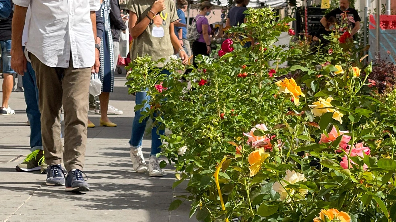 La nona edizione di "Fiorinfiera" a Sesto si svolge oggi e domani, con espositori di fiori e piante provenienti da tutta la Toscana. In esposizione anche prodotti alimentari tipici e artigianato locale. La nona edizione di "Fiorinfiera" a Sesto si svolge oggi e domani, con espositori di fiori e piante provenienti da tutta la Toscana. In esposizione anche prodotti alimentari tipici e artigianato locale.