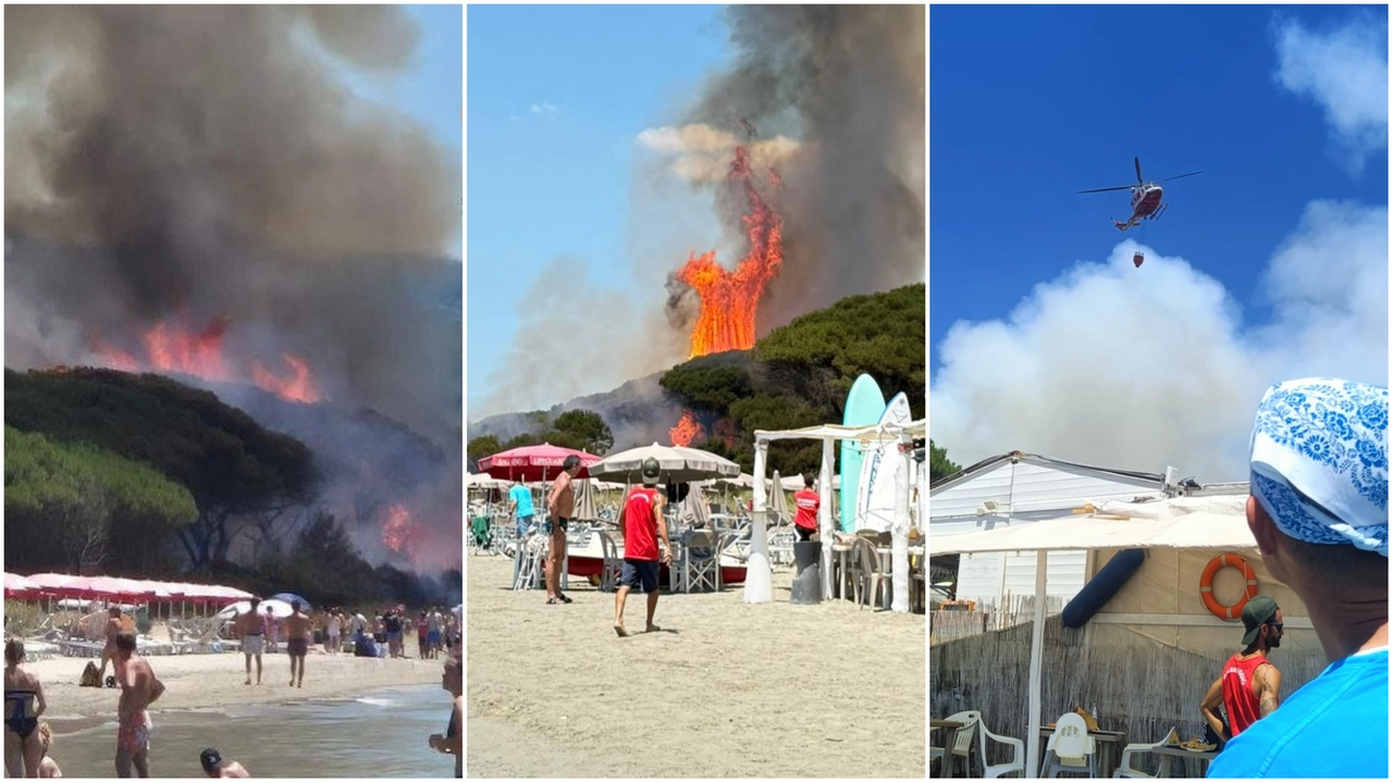 Vasto incendio nella pineta tra Follonica e Puntone