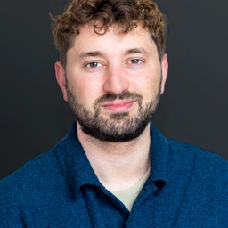 Enrico Mattia Del Punta, Giornalista