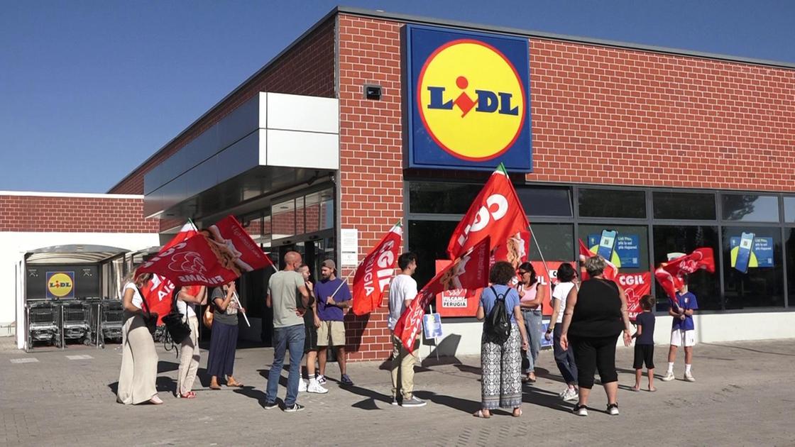https://www.lanazione.it/image-service/view/acePublic/alias/contentid/ZTY1YjdmNDctZjBiMi00/0/sciopero-dei-dipendenti-lidl-filcams-cgil-adesione-alta.jpeg?f=16:9&w=1200&h=630