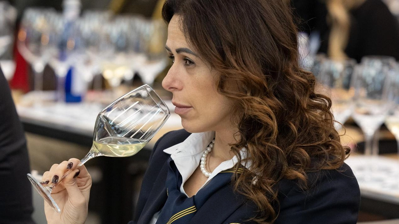 Nove lezioni per conoscere il mondo del vino e la sua storia e diventare perfetti assaggiatori. Si tratta del corso...