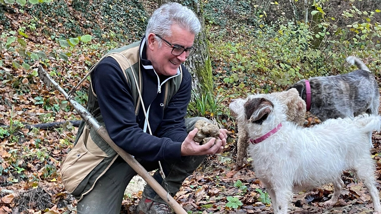 Giuliano Martinelli impegnato insieme a uno dei suoi cani da cerca Giuliano Martinelli impegnato insieme a uno dei suoi cani da cerca