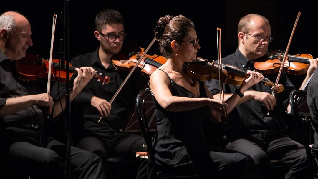 Dopo la pausa estiva riparte il Festival della liuteria toscana Dopo la pausa estiva riparte il Festival della liuteria toscana
