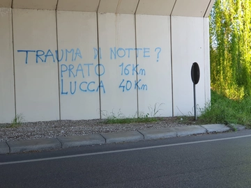 immagine articolo