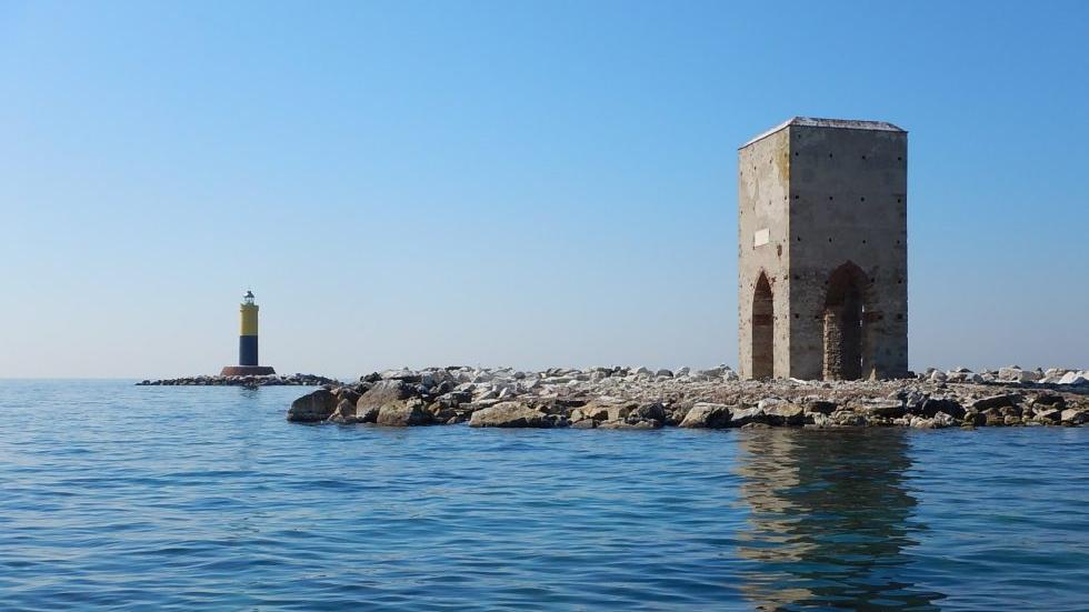 Meloria, boom di permessi barca. “Ma la posidonia va tutelata”