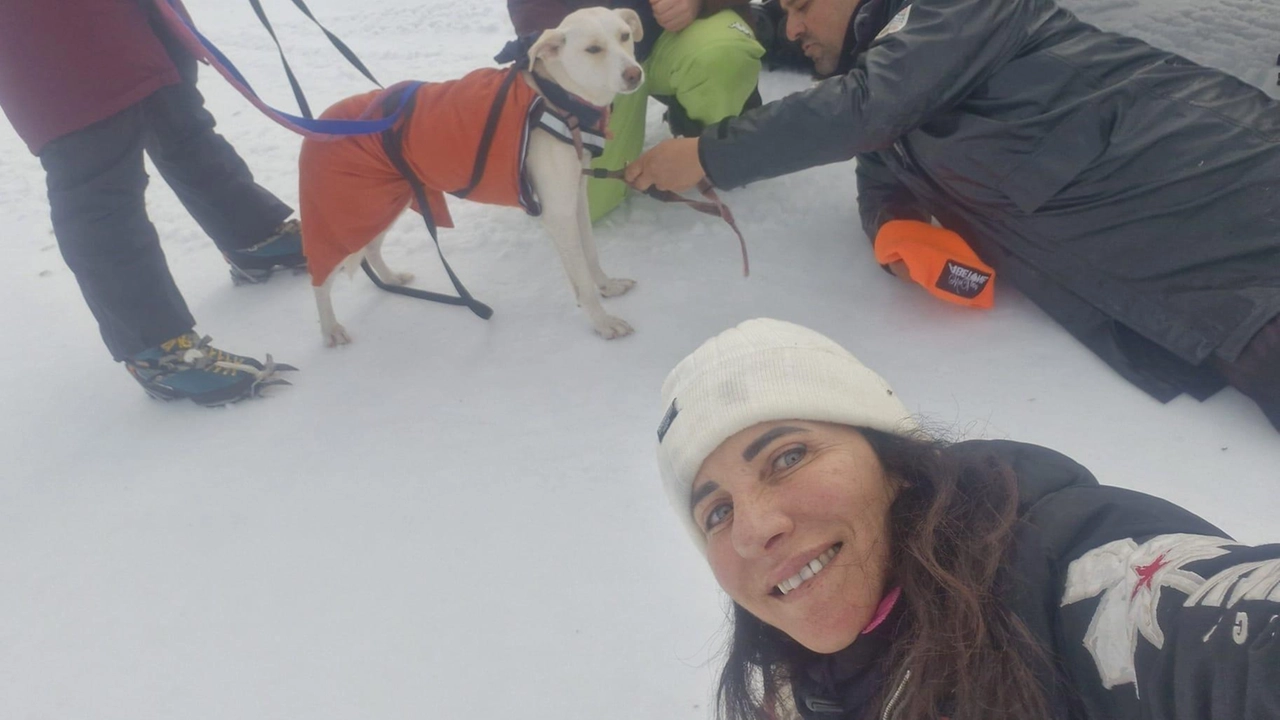 La cagnolina, adottata al canile Soffio di Vento, era scomparsa la mattina del 27 dicembre scorso all’arrivo dell’ovovia all’Abetone La cagnolina, adottata al canile Soffio di Vento, era scomparsa la mattina del 27 dicembre scorso all’arrivo dell’ovovia all’Abetone