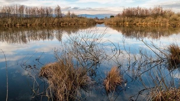 Importante riconoscimento per il lago di Sibolla che adesso diventa un’oasi naturale per la salvaguardia degli uccelli