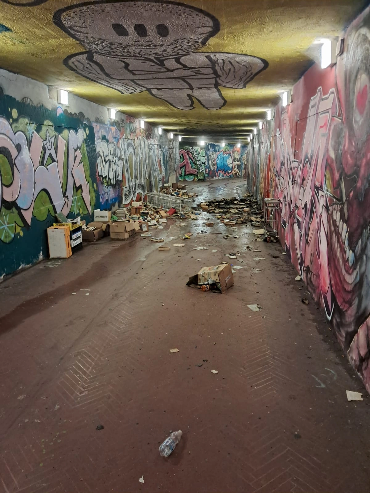 immagine di sfondo 1
