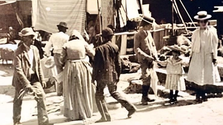 Il Comune di Panicale arricchisce le tradizionali feste dell'uva, del patrono e dell'olio con nuove iniziative nell'ambito del progetto "Il Turismo delle Radici". Una mostra fotografica e un concerto celebrano l'Anno delle radici italiane. Il Comune di Panicale arricchisce le tradizionali feste dell'uva, del patrono e dell'olio con nuove iniziative nell'ambito del progetto "Il Turismo delle Radici". Una mostra fotografica e un concerto celebrano l'Anno delle radici italiane.