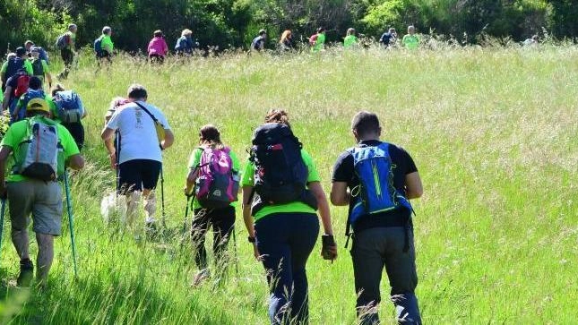SANSEPOLCRO Attività Fisica Adattata, dalle cui lettere iniziali si ottiene l’acronimo Afa. Domani a Sansepolcro si terrà un incontro dedicato...