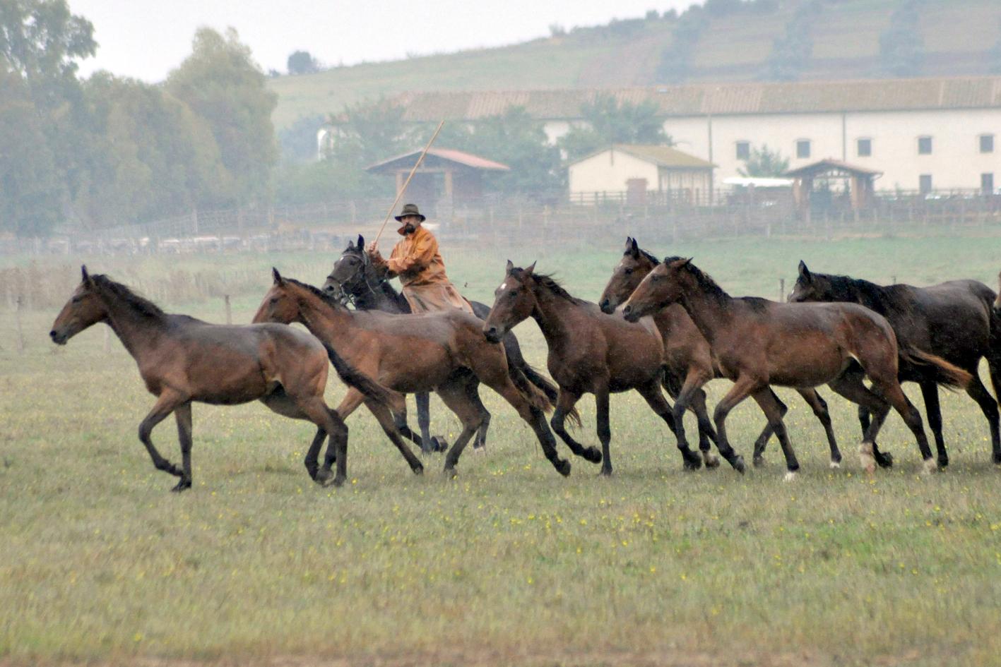 Parco della Maremma. Mezzo secolo di storia e di chi la storia l’ha fatta
