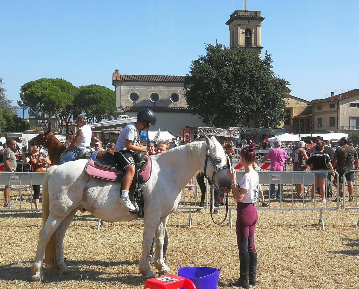 È il giorno della festa: torna la fiera del bestiame e la musica in piazza È il giorno della festa: torna la fiera del bestiame e la musica in piazza