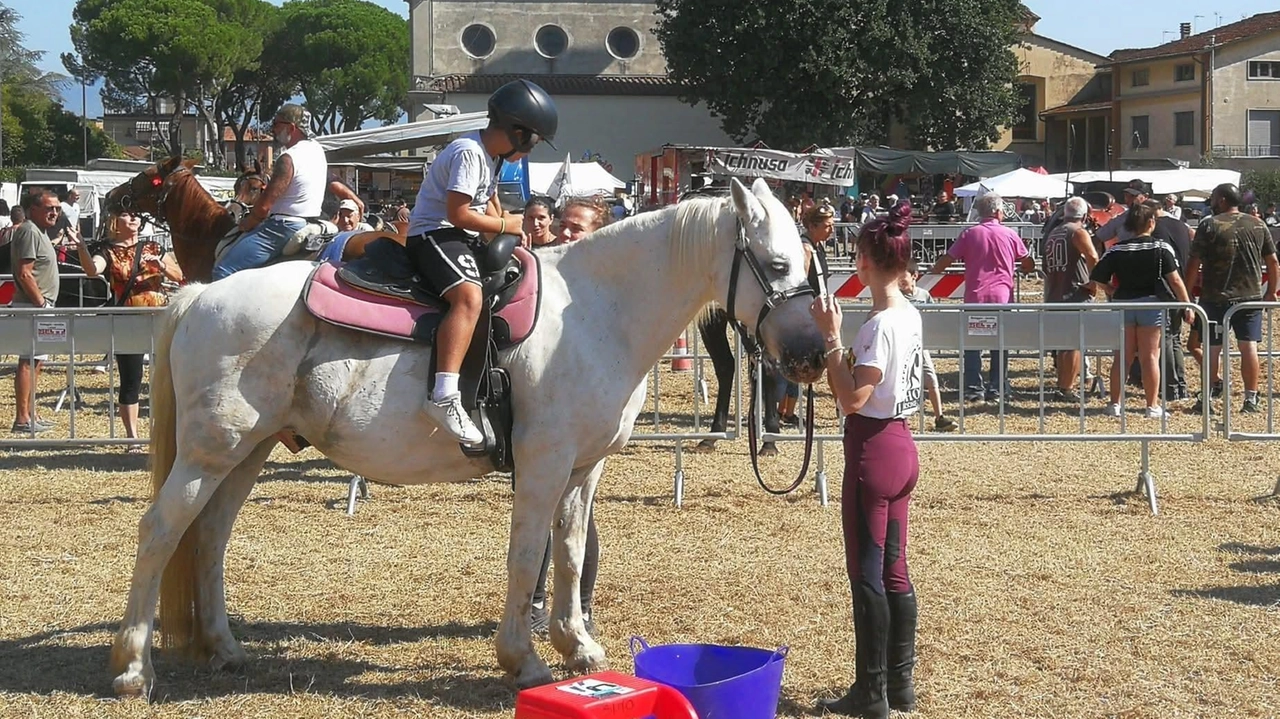Nel campo sportivo della chiesa di Santa Maria Assunta ci sarà la rievocazione dell’antica fiera del bestiame, con. allevatori e animali domestici Nel campo sportivo della chiesa di Santa Maria Assunta ci sarà la rievocazione dell’antica fiera del bestiame, con. allevatori e animali domestici