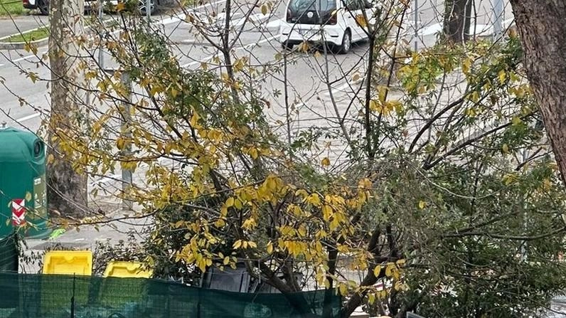 Un punto di raccolta condominiale per i rifiuti Un punto di raccolta condominiale per i rifiuti