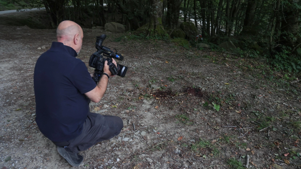 L e tracce di sangue nel bosco nel punto in cui è stato ritrovato il cadavere della 52enne di origini tedesche L e tracce di sangue nel bosco nel punto in cui è stato ritrovato il cadavere della 52enne di origini tedesche