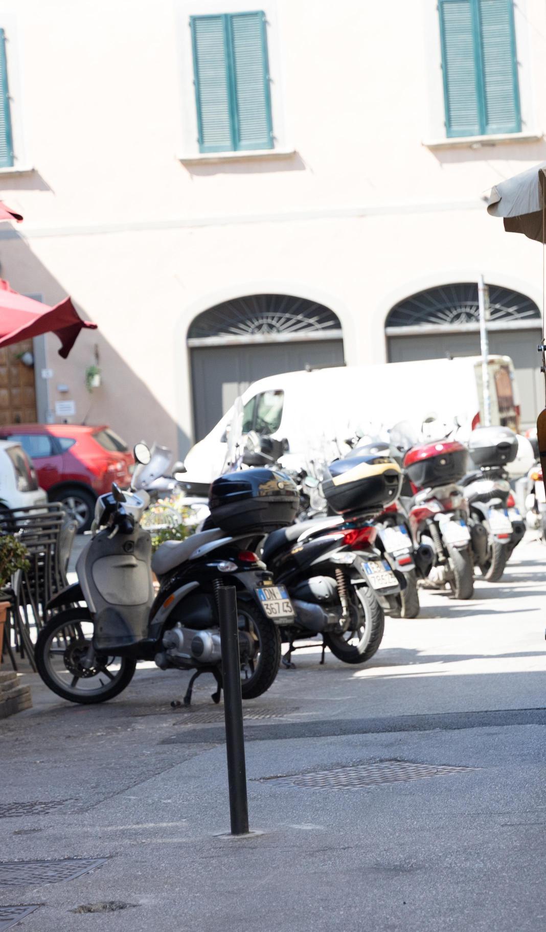 https://www.lanazione.it/image-service/view/acePublic/alias/contentid/ZTgxNjBlMzktMDc4MS00/0/stop-carrozze-gli-animalisti-tornano-in-piazza.jpeg?f=1.91:1&w=1200