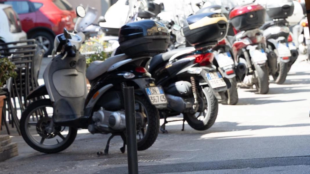 Stop carrozze. Gli animalisti tornano in piazza