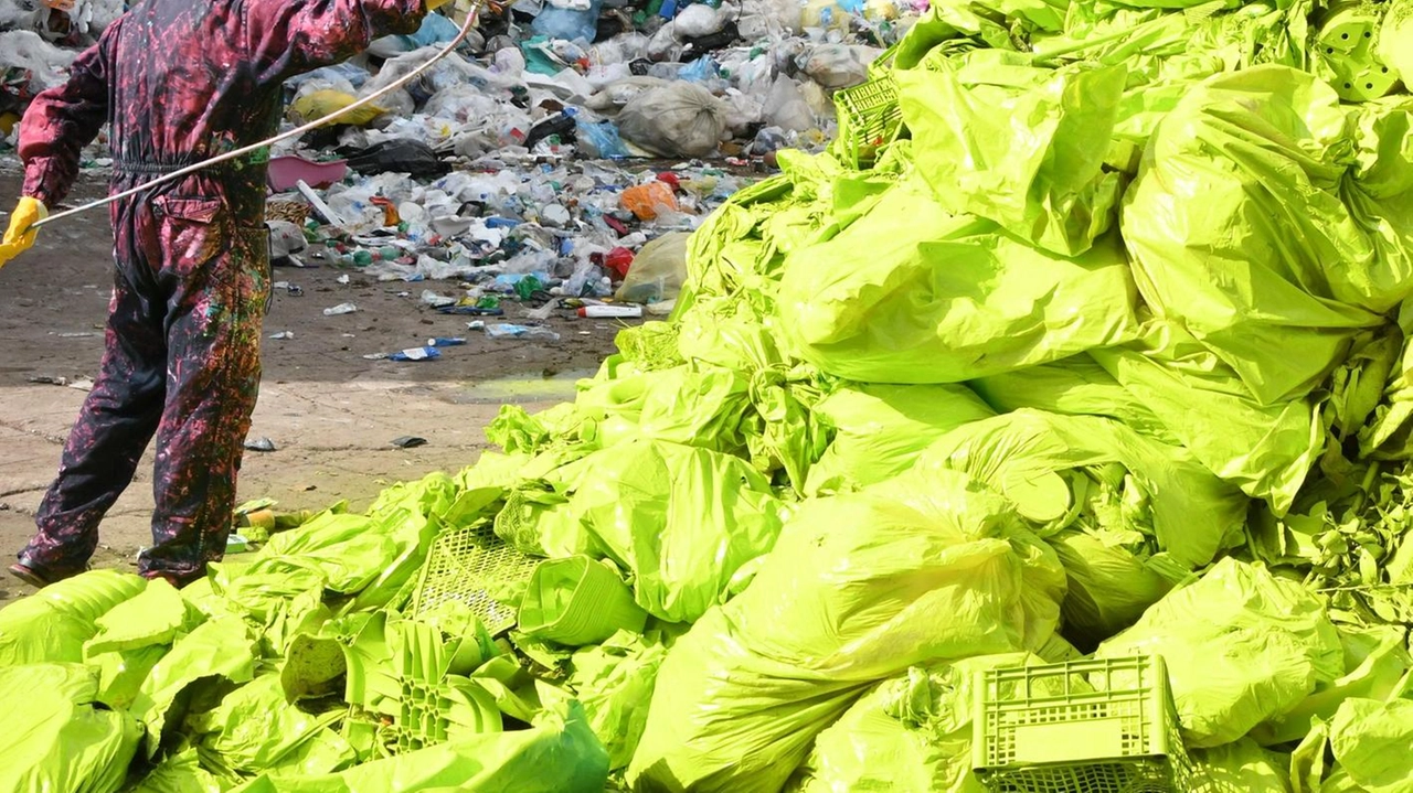 Il "Festival dei Rifiutati" a Massa ha trasformato rifiuti in arte, coinvolgendo artisti in installazioni e performance per promuovere la sostenibilità. Il "Festival dei Rifiutati" a Massa ha trasformato rifiuti in arte, coinvolgendo artisti in installazioni e performance per promuovere la sostenibilità.