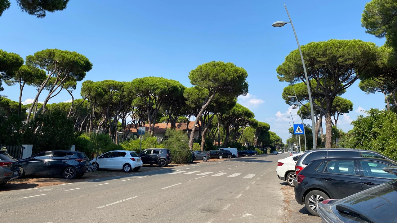 Principina a Mare