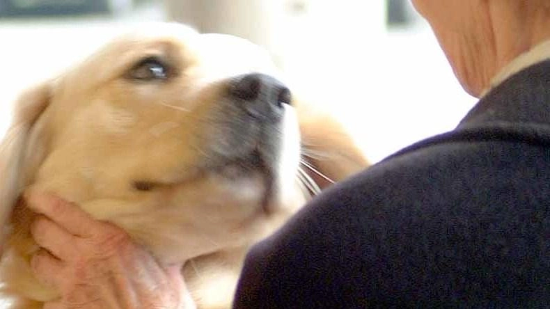 La raccolta fondi regala un anno  di pet therapy