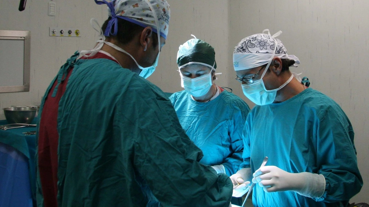 Operazione per l'espianto multiorgano (Foto di repertorio) Operazione per l'espianto multiorgano (Foto di repertorio)