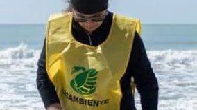 Inizieranno mercoledì le azioni del progetto di monitoraggio sulle plastiche sulle spiagge e i fondali della costa apuana. Il progetto...