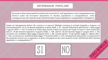 Referéndum 2025: Cómo votar. Guía