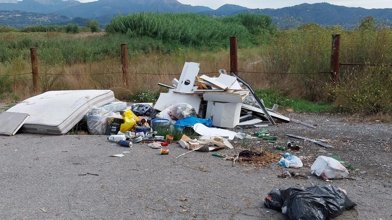 Il cartello avvisa che quella sponda, affacciata sul Massaciuccoli in località Carbonaie, è videosorvegliata. Ma nemmeno lo spauracchio di finire...