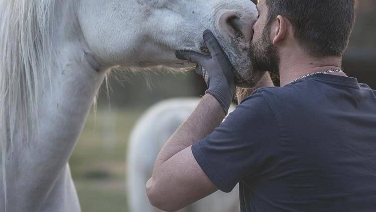 Gran finale oggi per la kermesse al debutto “Cavalli e natura“ che ha acceso il weekend di Comano, uno dei... Gran finale oggi per la kermesse al debutto “Cavalli e natura“ che ha acceso il weekend di Comano, uno dei...
