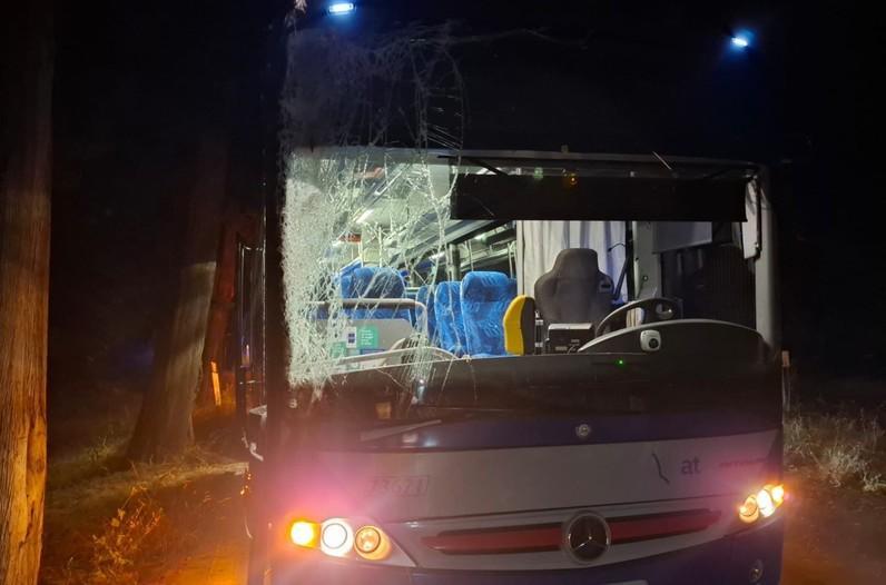 https://www.lanazione.it/image-service/view/acePublic/alias/contentid/ZTk3YzE5YzItNWUwZi00/0/bus-fuori-servizio-contro-un-albero-scatta-lindagine-di-at-sullautista.jpeg