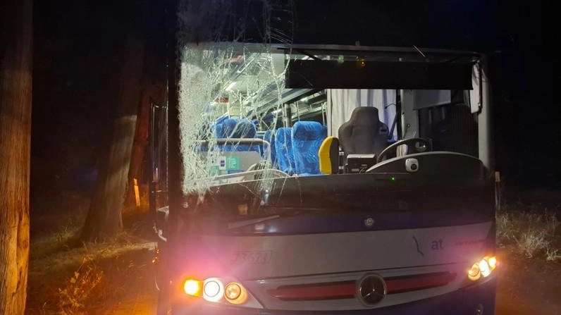 L’autobus di linea è andato a sbattere contro un cipresso sulla via Grevigiana L’autobus di linea è andato a sbattere contro un cipresso sulla via Grevigiana
