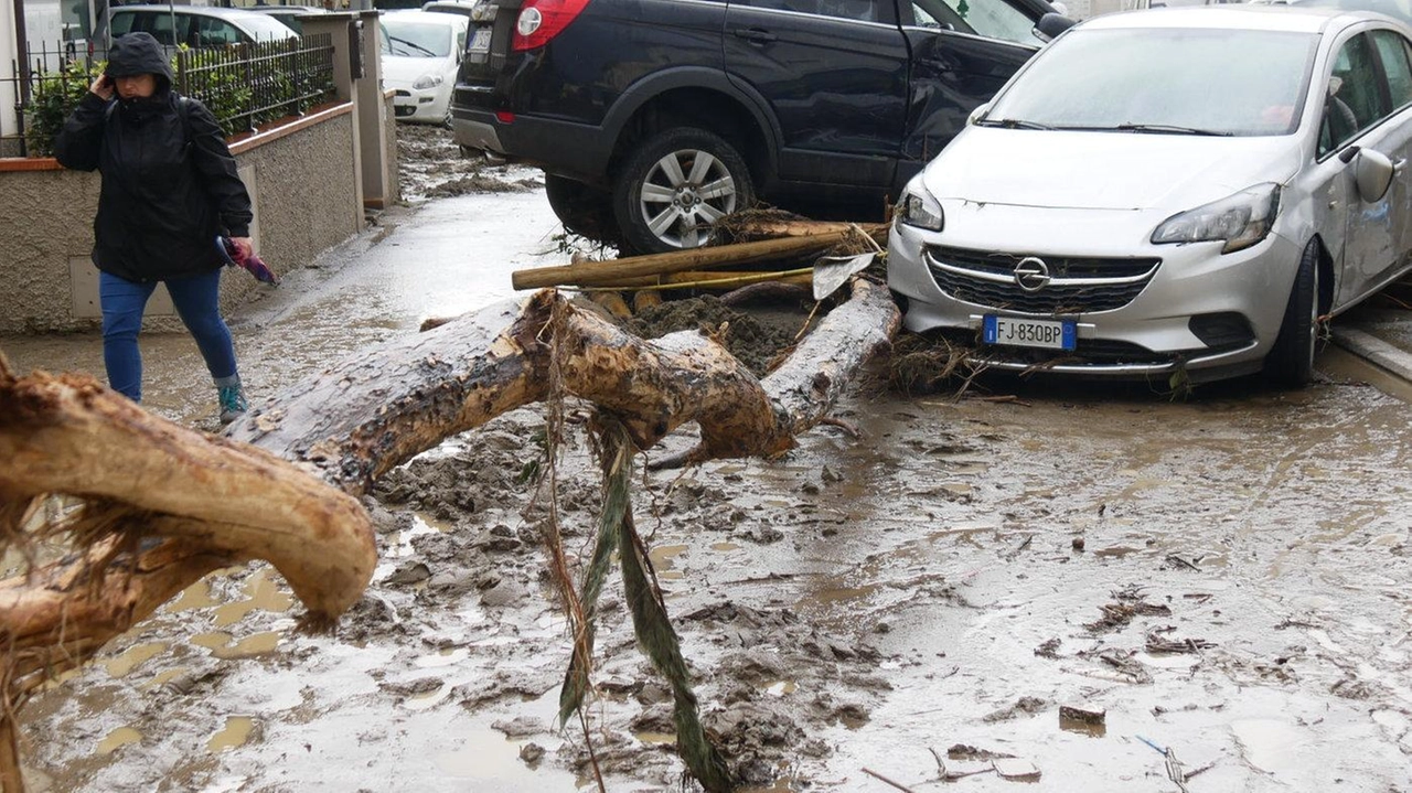 I danni provocati dall’esondazione del Bagnolo il 2 novembre 2023. I residenti tornano a puntare il dito, in un video,. sul torrente che non sarebbe mai stato ripulito. La competenza è della Regione e del Genio civile I danni provocati dall’esondazione del Bagnolo il 2 novembre 2023. I residenti tornano a puntare il dito, in un video,. sul torrente che non sarebbe mai stato ripulito. La competenza è della Regione e del Genio civile