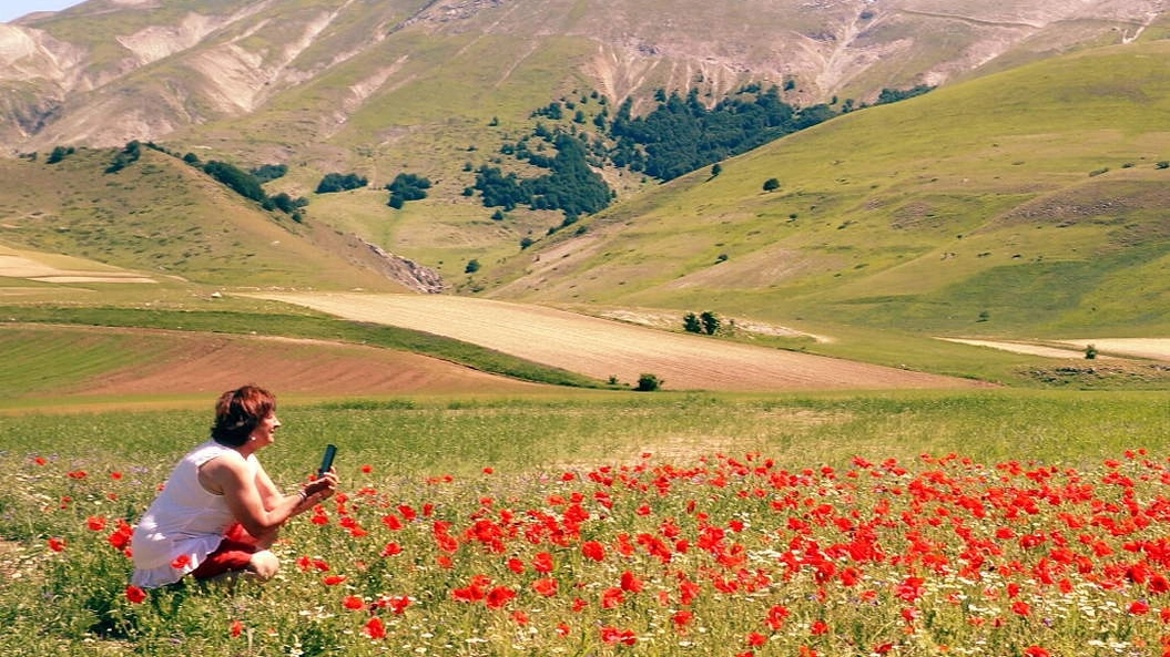 Castelluccio di Norcia senza fioritura. Il caldo fuori stagione spegne la magia dei colori