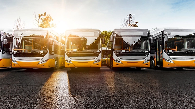 Alcuni autocarri e autobus Alcuni autocarri e autobus