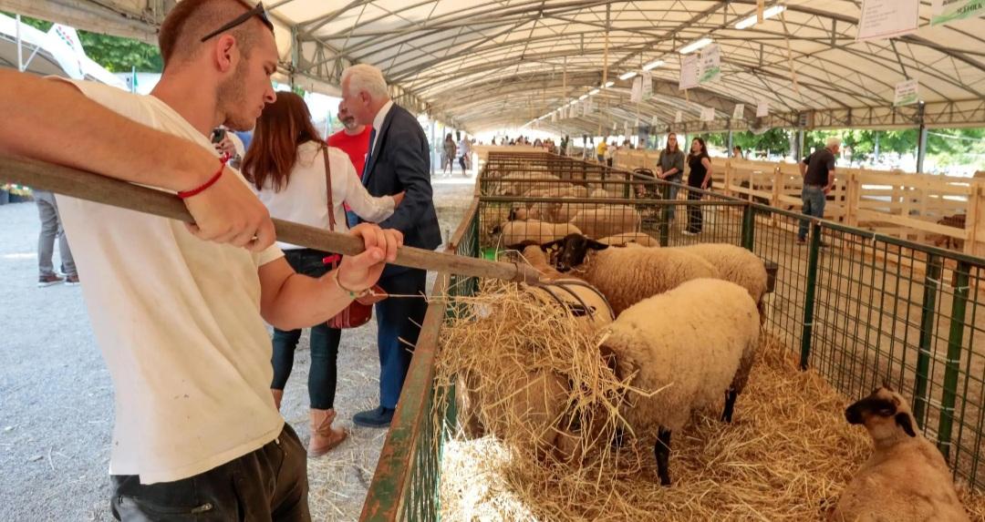 A Vicchio è tempo di A Vicchio è tempo di