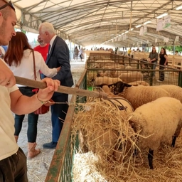 A Vicchio è tempo di 'Fiera Calda' dal 28 al 31 agosto